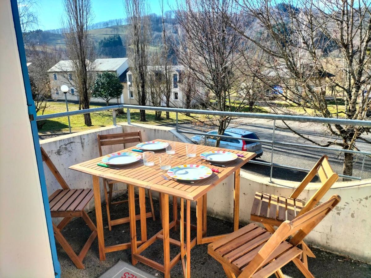 T2 Avec Piscine-le Family 67 * Pierrefiche (Aveyron)
