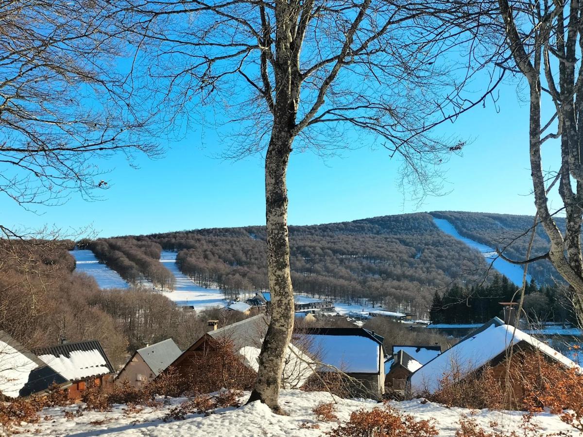 T2 Avec Piscine-le Family 67 * Pierrefiche (Aveyron)